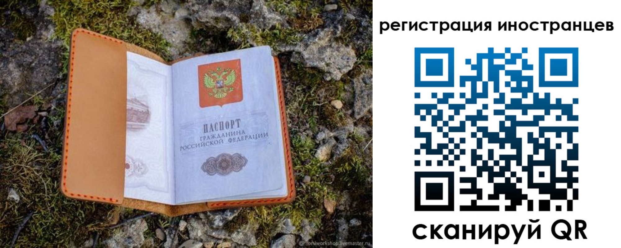 прописка паспорт в Дубовке